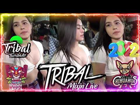 Tribal Mega Mix 2021-2022 - Lo Mas Chingon Del Tribal Super Mix 🎅 Feliz Navidad y Año Nuevo 2022 🎅🎄
