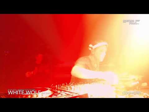 White Wolf Infinity - 26.08.2023 - Centaury