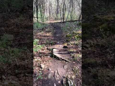 A Walking Meditation