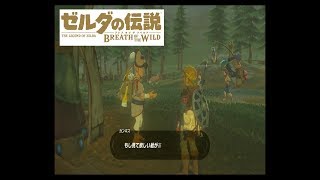 【実況】方向音痴が駆ける！【ゼルダの伝説ブレスオブザワイルド】＃39