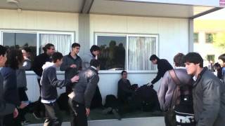 Double Mega Sandwich - Nicosia