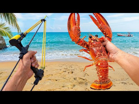 Catching My Food With A Bow