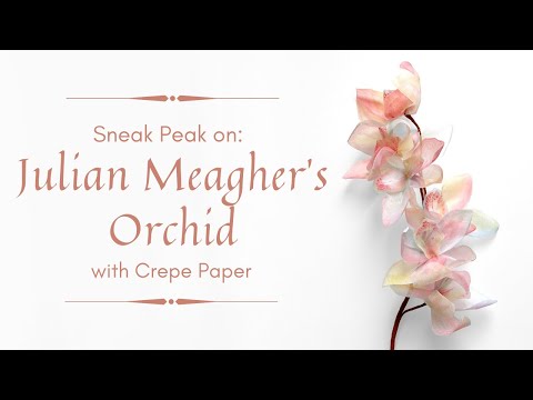 PAINTER'S FLOWER COLLECTION - JULIAN MEAGHER'S ORCHID with Hand Paint Organza