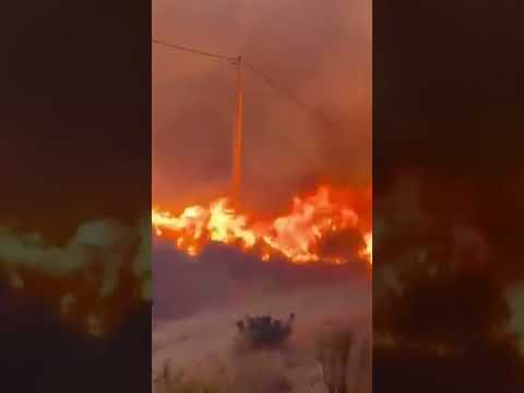 Video Thumbnail: Wildfires in southern Spain kill at least 11