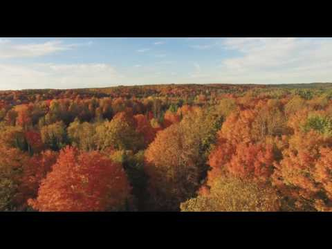 download lagu mp3 mp4 Houses For Sale In Northern Michigan, download lagu Houses For Sale In Northern Michigan gratis, unduh video klip Houses For Sale In Northern Michigan