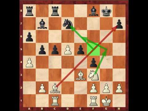 Ben Finegold-Etienne Bacrot, 2017 PRO Chess League, Round 5