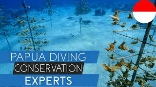 Raja Ampat Conservation in Action: How To Protect Reefs and Supports Local Communities