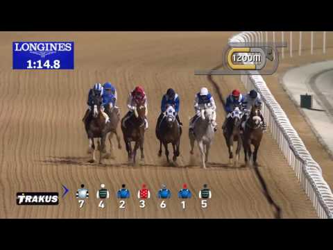 Race 1 Al Maktoum Challenge R2