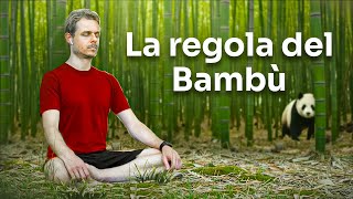 Mi è costato 17 anni quello che sto per dirti in 8 minuti