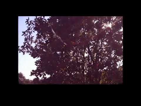 Yüzyüzeyken Konuşuruz - Çok Acil Bir İş (ukulele cover)