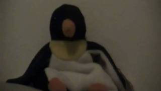 Joe The Penguin