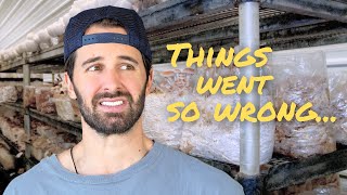 I Made These 3 Mushroom Growing Mistakes (So You Don’t Have To)
