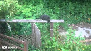 Behind Skelethon - Homemade Mummy