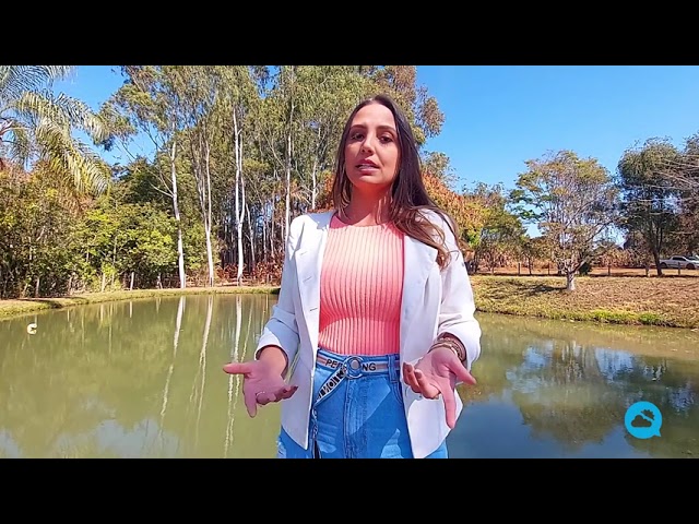 youtube video id=TXkcKtEPiQg