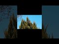 Nyaya Extended Version