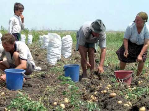 MALURI-VULTURU-VN...Maluri...Sat frumos si linistit !...de Sat MALURI