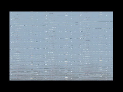 Fluxul live al utilizatorului C.S. Navodari