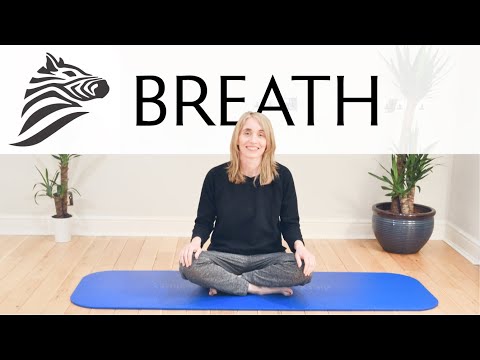 Movement With Jeannie Di Bon - Week 1 | Breath