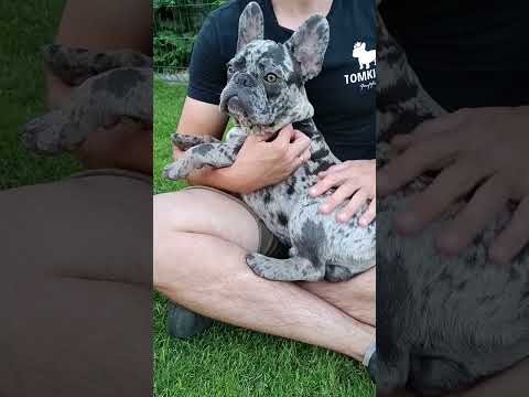 Video 1
