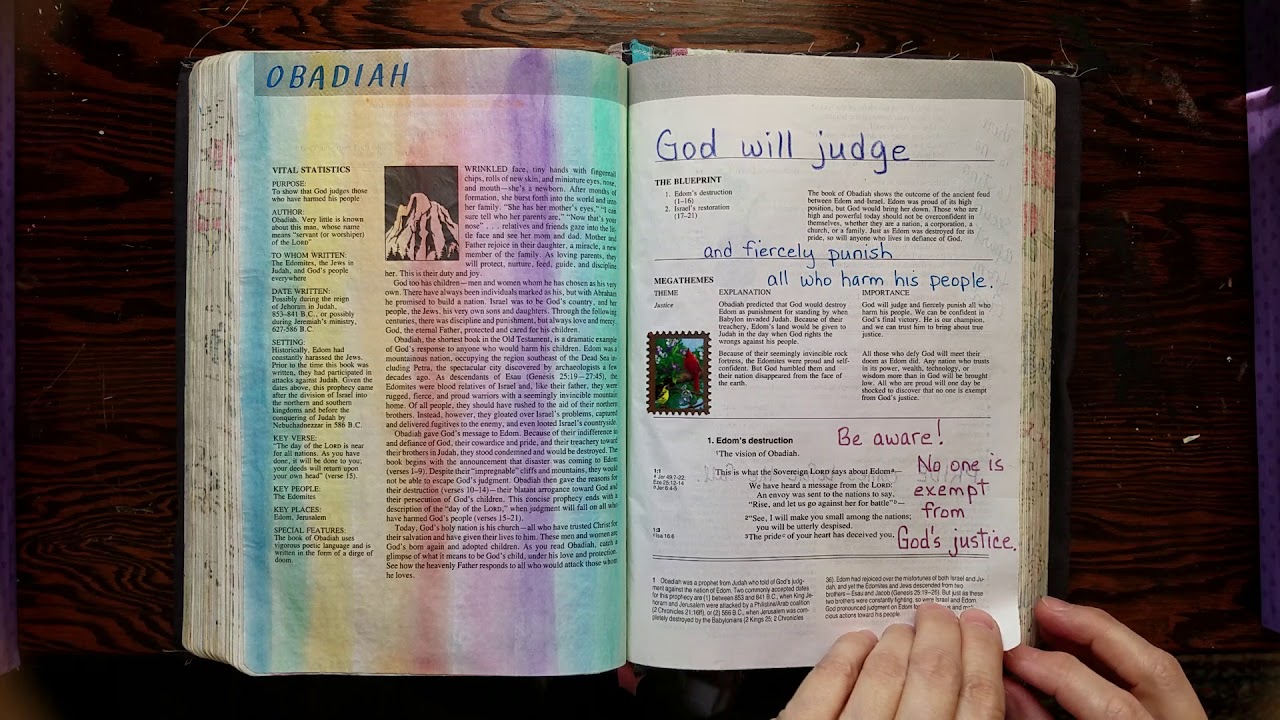 Bible journaling flip through OBADIAH