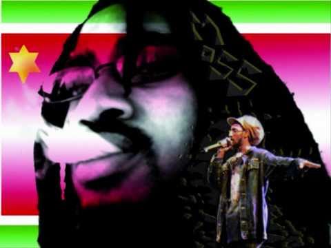 SUGA MOSS *NO FORMATAGE