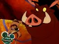 Timon Flattenings