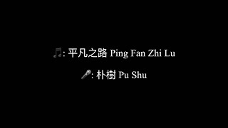 平凡之路 Ping Fan Zhi Lu - 朴樹 Pu shu Chinese+Pinyin+English lyrics video