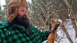 Life on The Trapline from Off Grid Camp