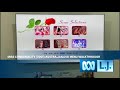 Miss Congeniality 2001 Australian DVD Menu Walkthrough