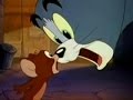 A Look At The Tom Jerry Movies