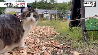 Vol.128「にゃん旅鉄道」会津ジイゴ坂学舎に来たにゃ！