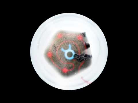 Adam Pits - Tantalizer