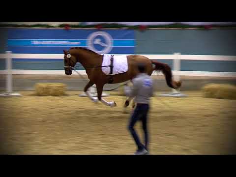 Quantensprung x Rohdiamant