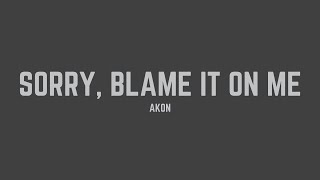 Akon - Sorry, Blame It On Me (Lyrics)