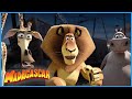 Meet The Gang DreamWorks Madagascar