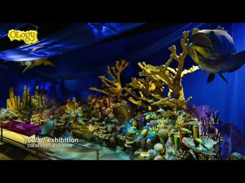 Meet the OLogist: Ana Luz Porzecanski