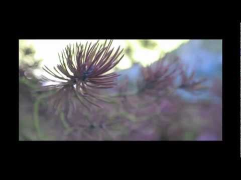 Atlas Sound- La Luna (Unofficial Video) Sedona, AZ