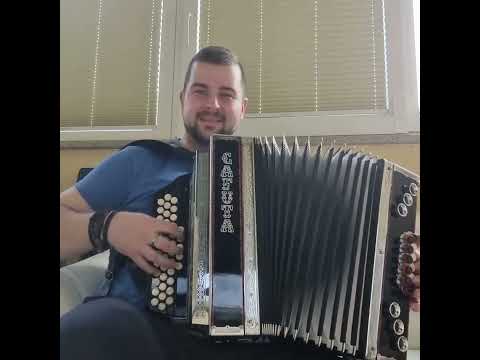 Domen Sajbert - Takih v Ljubljani ni (Brendi)