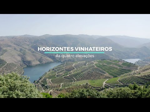 Horizontes Vinhateiros: As quatro eleva&ccedil;&otilde;es