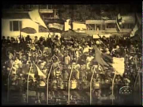 BRIGAS DE LEOES NACIONAL E PENAROL.mp4