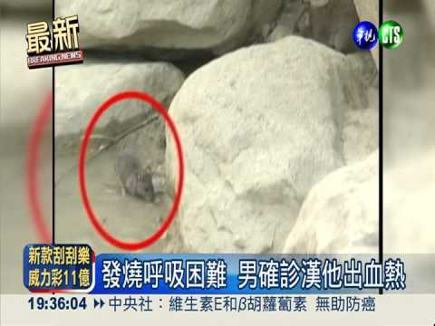 今年首例! 高雄農夫染漢他病毒