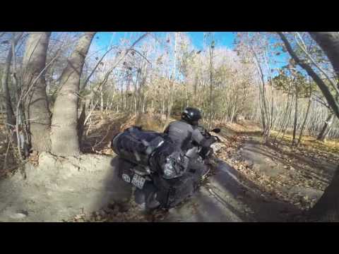 Die Blätter sind gefallen. Nähe von Isfahan, Iran