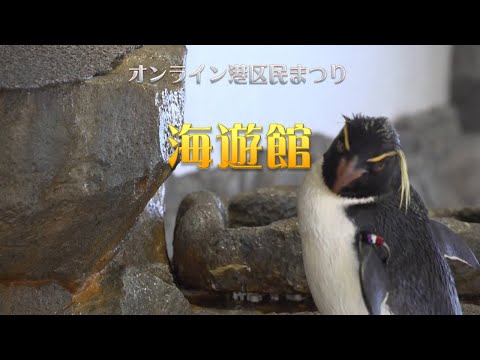 オンライン港区民まつり 26海遊館