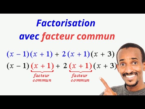 Factorisation avec facteurs communs 