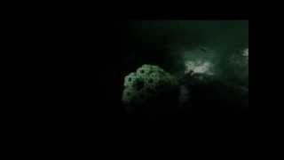 Voiteck - Messed Up