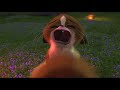 Madagascar Crying Mort 2005