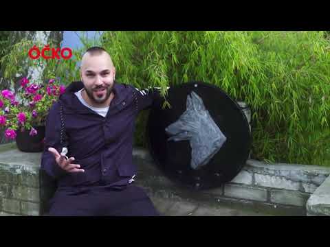 Policie ČR: SEJMI ZLOČIN 1/8 - sérii osmi videosnímků odstartují policejní psi a psovodi🐕‍🦺