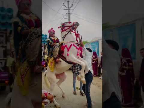 Ghodi ka jordaar dance #dj #song #sad #love #horse #horsetrancedance #horesdance #dance #automobile