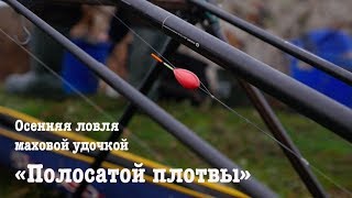 Маховая удочка оснастка на плотву