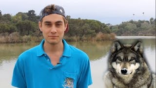 Welcome To The &quot;Lone Wolf&quot; Paradigm (After read descrip. + comments for update)